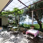 Moretic Orašac