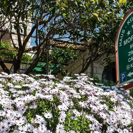 Casa de hóspedes Moretic