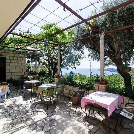 Moretic 오라사크