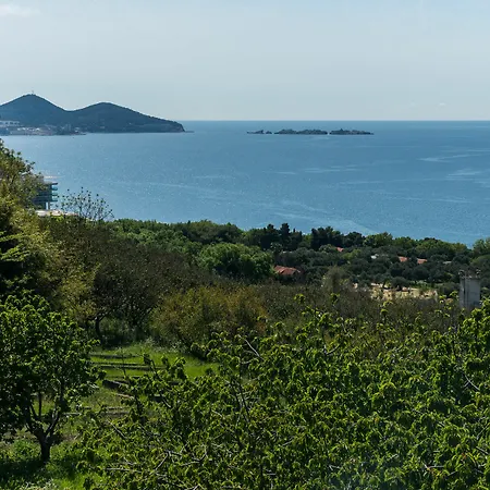 Moretic Konukevi Orasac