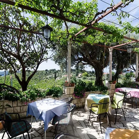 Moretic オラサック